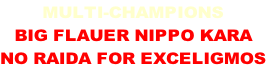 MULTI-CHAMPIONS
BIG FLAUER NIPPO KARA
NO RAIDA FOR EXCELIGMOS
